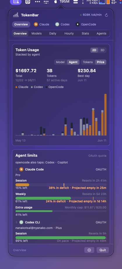 TokenBar Overview view